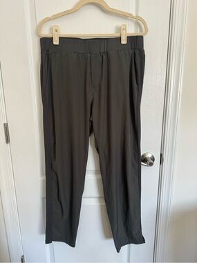 Quince Performance Tech Ankle Pants
